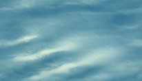 Textures 306